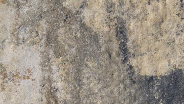 kostka betonowa Latina